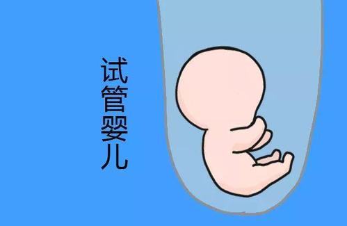 代生选性别包生男孩